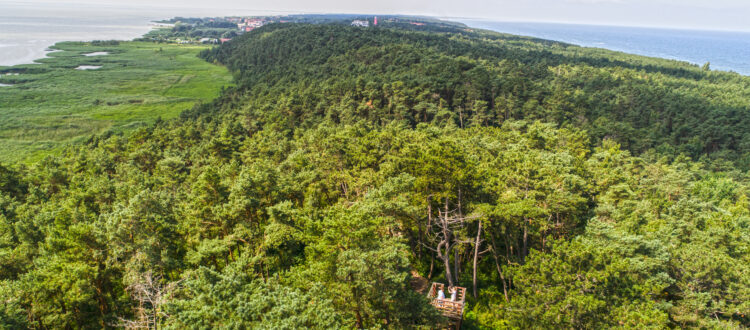 Wielbłądzi Garb Krynica Morska