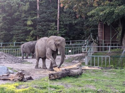 Zoo Gdańsk