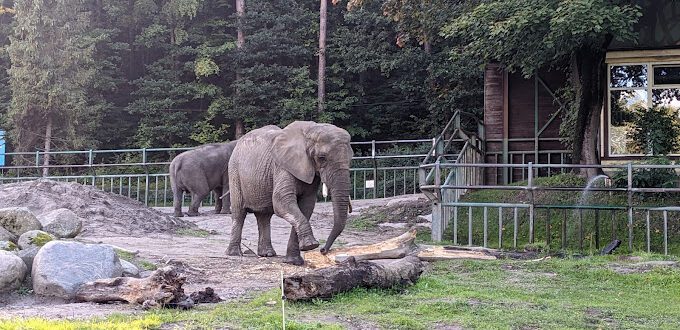 Zoo Gdańsk