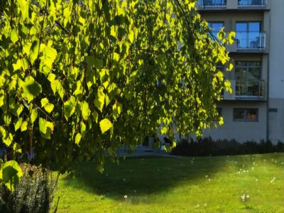 Gdzie nad morze wiosną