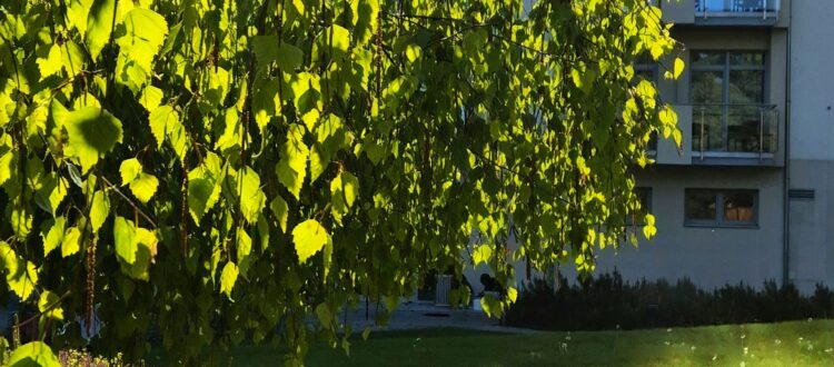 Gdzie nad morze wiosną