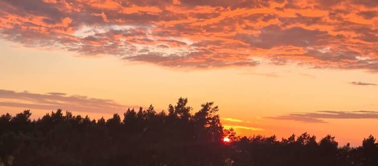 Wakacje nad morzem w rytmie slow Krynica Morska