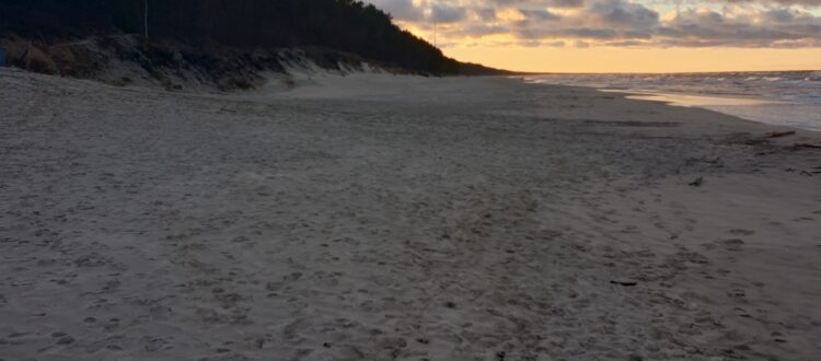 Weekend przy plaży Krynica Morska gdzie najlepiej wypocząć nad Bałtykiem