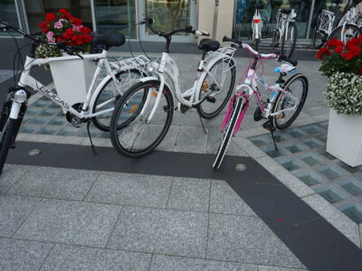 Aktywny urlop nad morzem w Krynicy Morskiej