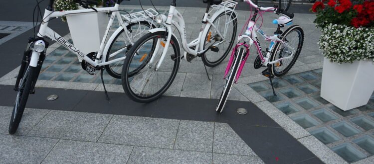 Aktywny urlop nad morzem w Krynicy Morskiej