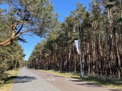 Aktywne wakacje w Krynicy Morskiej w hotelu przy plaży