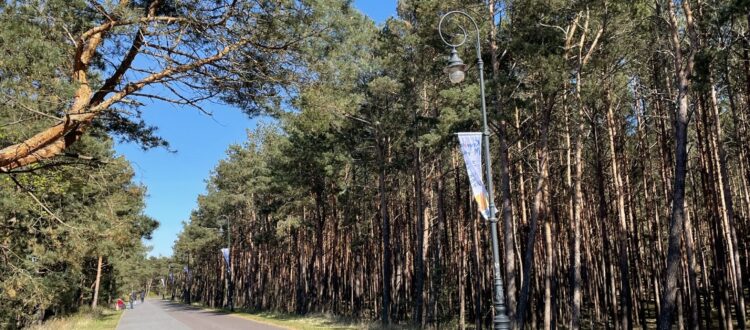 Aktywne wakacje w Krynicy Morskiej w hotelu przy plaży