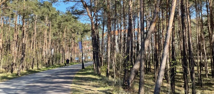 Wczasy 60+ blisko promenady spacerowej w Krynicy Morskiej